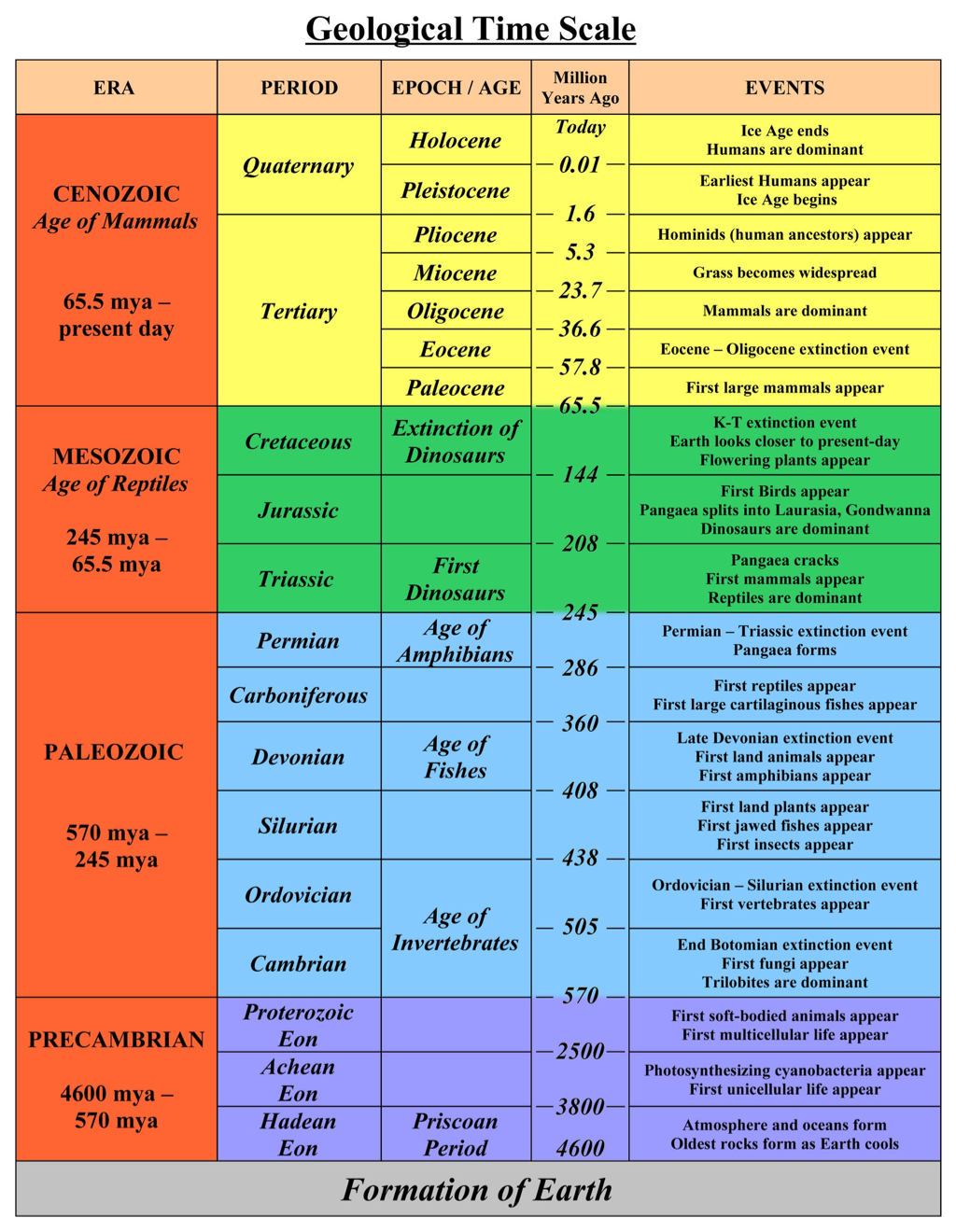 Evolution – Mr. Smith Science